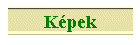 K�pek