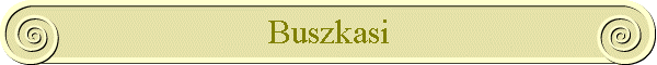 Buszkasi